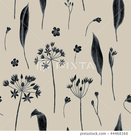 Vector seamless pattern of wild garlic. Hand drawn vector illustration 44468168