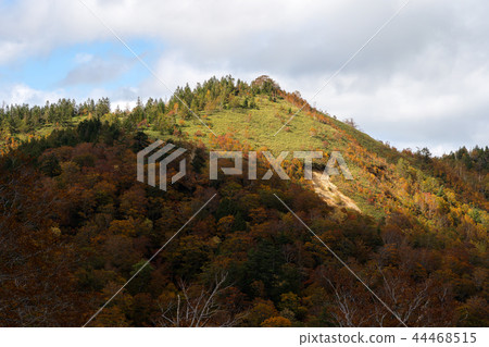 Nishi Agatsuma Sky Valley Autumn leaves Nishi Agatsuma Sky Valley Autumn leaves 44468515