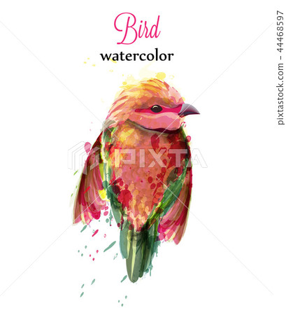 Watercolor bird Vector. Colorful tropic painted Watercolor bird Vector. Colorful tropic painted 44468597