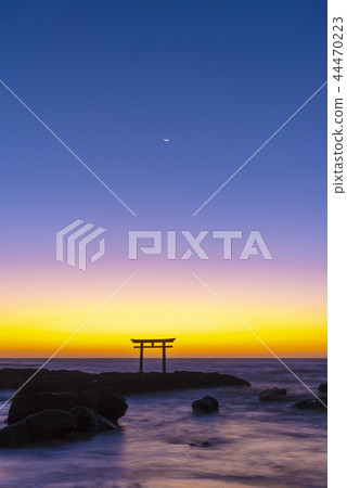 Iori Pref.Kaisu的Oarai Town Torii 44470223