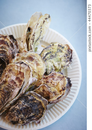 Baked rock oyster on light blue background 44470373