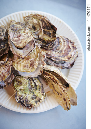 Baked rock oyster on light blue background 44470374