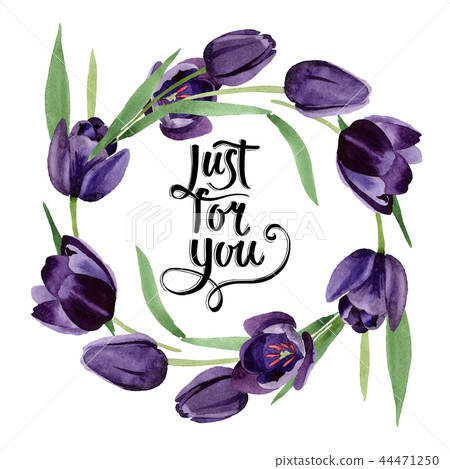 Watercolor Black Tulips Flower Floral Stock Illustration 44471250 Pixta