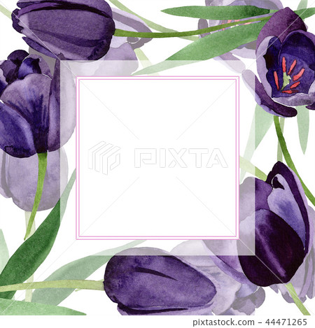 Watercolor black tulips flower. Floral botanical flower. Frame border ornament square. Watercolor black tulips flower. Floral botanical flower. Frame border ornament square. 44471265