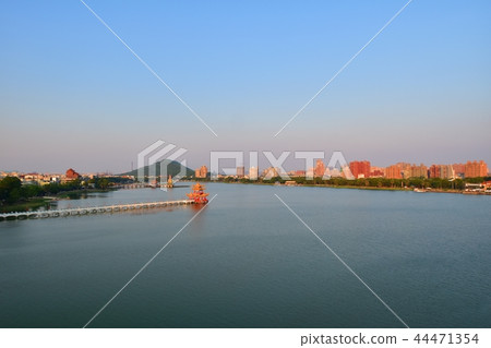 Lotus pond Lotus pond 44471354