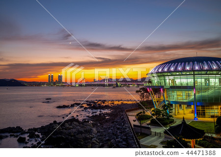 Night view of Dongbaekseom Island in Busan, Korea 44471388