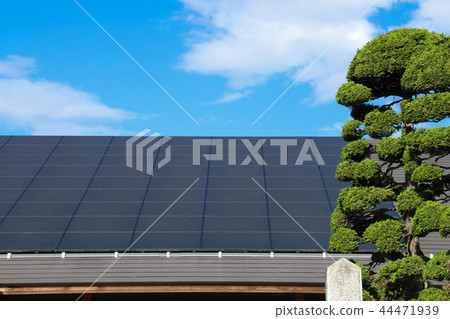 Household solar panels 44471939