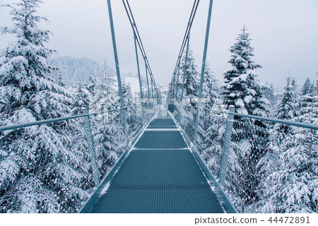 Pedestrian suspension bridge in Sattel Lucerne region Switzerland. Pedestrian suspension bridge in Sattel Lucerne region Switzerland. 44472891