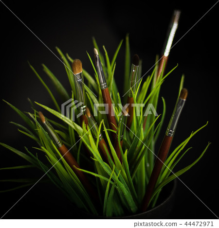Different brushes in grass Different brushes in grass 44472971