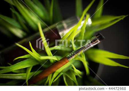 Brash and green grass 44472988
