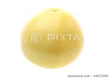 葡萄柚Melogold美國人 44472995