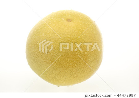Grapefruit Melogold American Grapefruit Melogold American 44472997