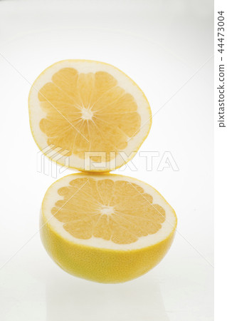 Grapefruit Melogold American 44473004