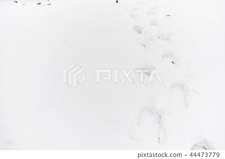 Footprints in the snow. Footprints on the first snow. Imprint of Footprints in the snow. Footprints on the first snow. Imprint of 44473779