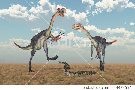 Dinosaur Gigantoraptor and Titanoboa 44474554