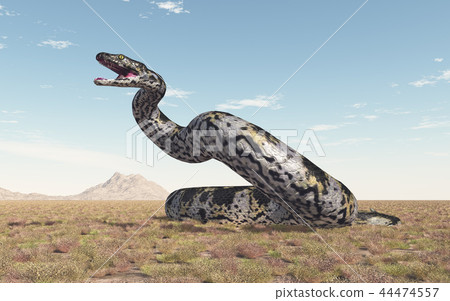 Prehistoric giant snake Titanoboa 44474557