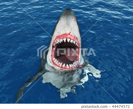 Great white shark leaping out of the water 44474572