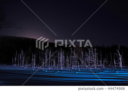Lighted-up night lake Biei-cho 44474986
