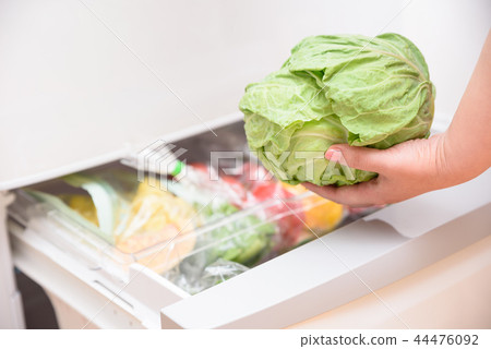 蔬菜白菜要從冰箱中取出 44476092