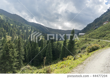 Trekking in Alps summer vacation 44477204