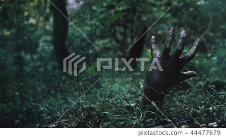 Zombie arm climbs out of the ground. 44477679