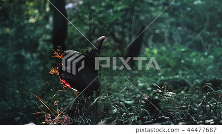 Zombie arm climbs out of the ground. shows thumb up Zombie arm climbs out of the ground. shows thumb up 44477687