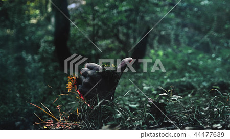 Zombie arm climbs out of the ground. shows thumb up 44477689