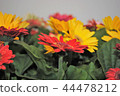 Flowers 44478212