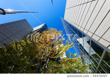 Beginning of autumn leaves of Katsura tree Tokyo International Forum 44478497