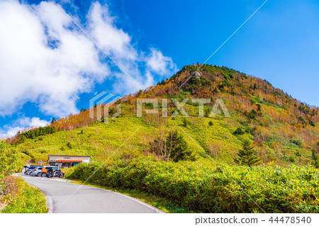 （長野縣）滋賀高原/霞岳的秋葉 44478540