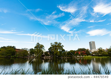 Shakujii Park 44478549