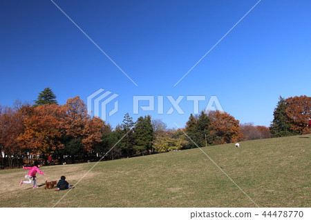 府中森林公園草坪廣場，深受兒童和寵物狗的歡迎 44478770