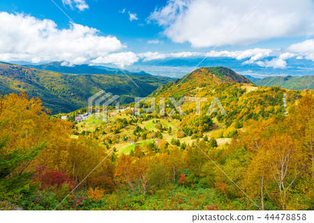 (Nagano Prefecture) Autumn leaves around Yamada Ranch 44478858
