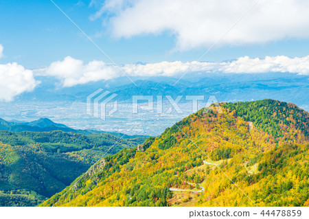 (Nagano Prefecture) Autumn leaves around Yamada Ranch 44478859