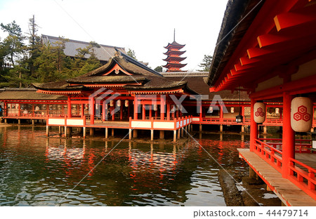 宮島嚴島神社 44479714