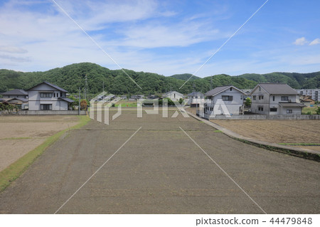 a View through tram window of the country side 44479848