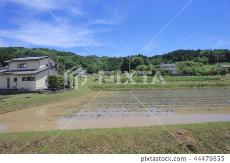 a View through tram window of the country side 44479855