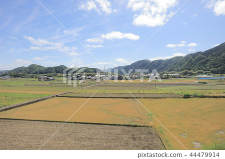 a View through tram window of the country side 44479914