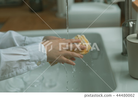 洗過的 研究 調查 44480002