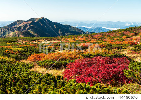 Autumn leaves of Hakusan 44480676