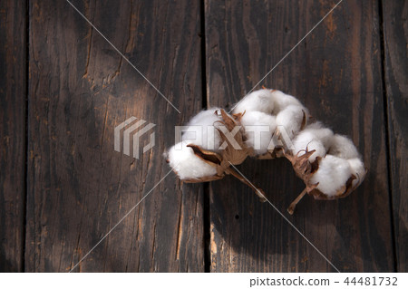 Cotton flower board back Cotton flower board back 44481732