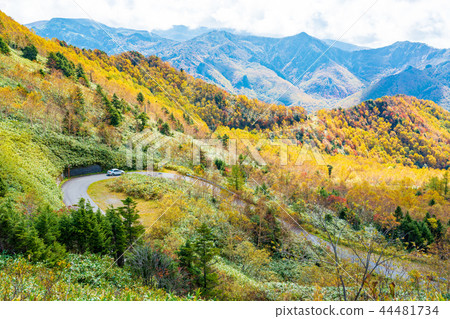 (長野縣)滋賀高原和霞岳附近的秋葉 (長野縣)滋賀高原和霞岳附近的秋葉 44481734