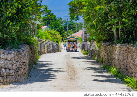 Taketomi island, Okinawa, white sand road and city buffalo car 44481768