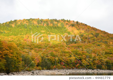 Autumn leaves of Shiga Kogen # 13 Autumn leaves of Shiga Kogen # 13 44481779
