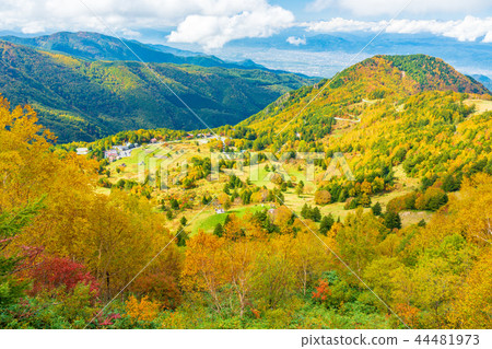 (Nagano Prefecture) Autumn leaves around Yamada Ranch 44481973