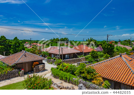 Okinawa Taketomi Island Ryukyu tiled orange roof Southern country image 44482035