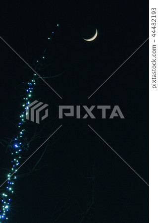Crescent Moon-2. The crescent moon smiles at the illumination of the roadside trees. Crescent Moon-2. The crescent moon smiles at the illumination of the roadside trees. 44482193