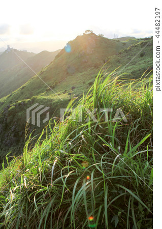 Kowloon Peak or Fei Ngor Shan sunset view at hong kong Kowloon Peak or Fei Ngor Shan sunset view at hong kong 44482197