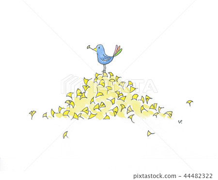 藍鳥 藍鳥 44482322