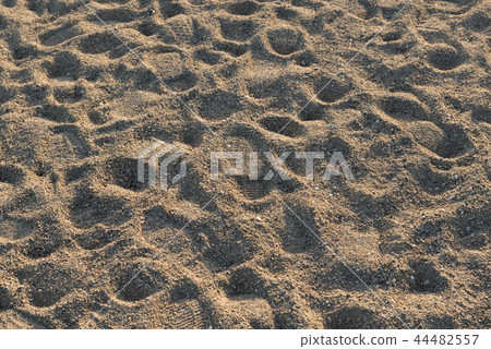 Suma的沙灘 44482557